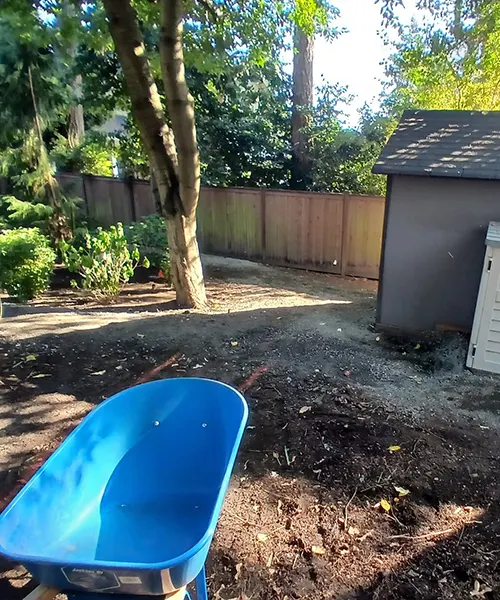 Custom Curved Paver Walkway Installation in Bellevue 